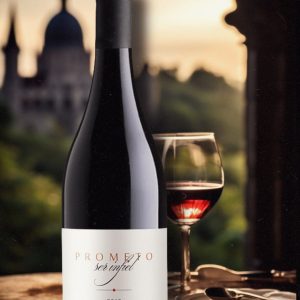 Prometo ser infiel en FigurexGourmet